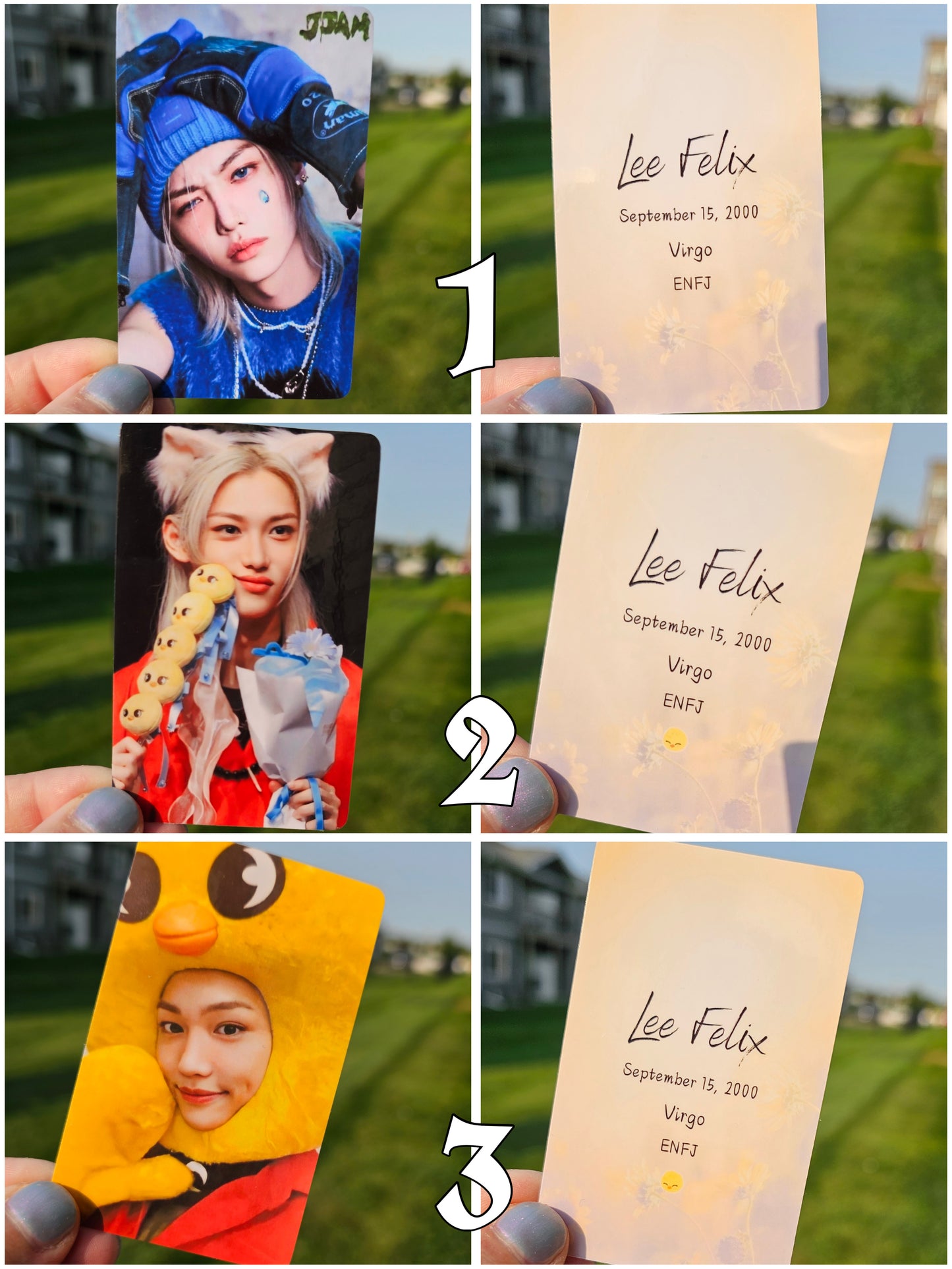 Felix Fanmade PC/ LoveStayTreasures Handmade