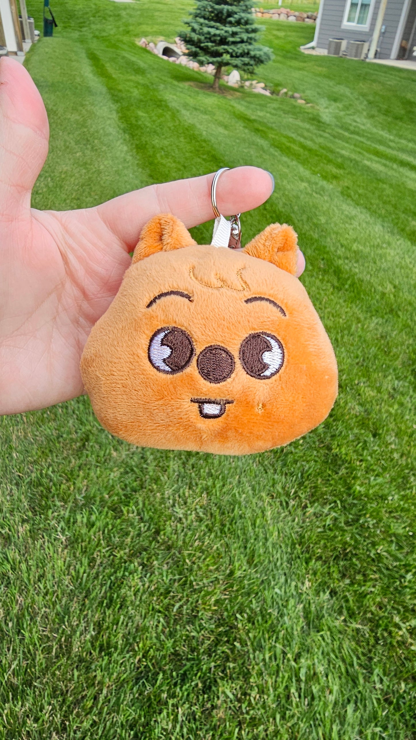 Skzoo Stray Kids Plushie Head with Metal Clip