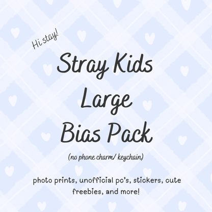 Stray Kids Large Bias Pack / Kpop Goodie Bag (NO KEYCHAIN / PHONE CHARM) LoveStayTreasures Handmade