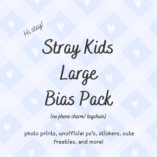 Stray Kids Large Bias Pack / Kpop Goodie Bag (NO KEYCHAIN / PHONE CHARM) LoveStayTreasures Handmade
