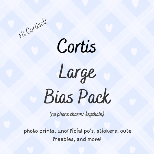 Cortis VERSION B Large Bias Pack / Kpop Goodie Bag (NO KEYCHAIN / PHONE CHARM) LoveStayTreasures Handmade