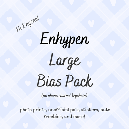 Enhypen Large Bias Pack / Kpop Goodie Bag (NO KEYCHAIN / PHONE CHARM) LoveStayTreasures Handmade
