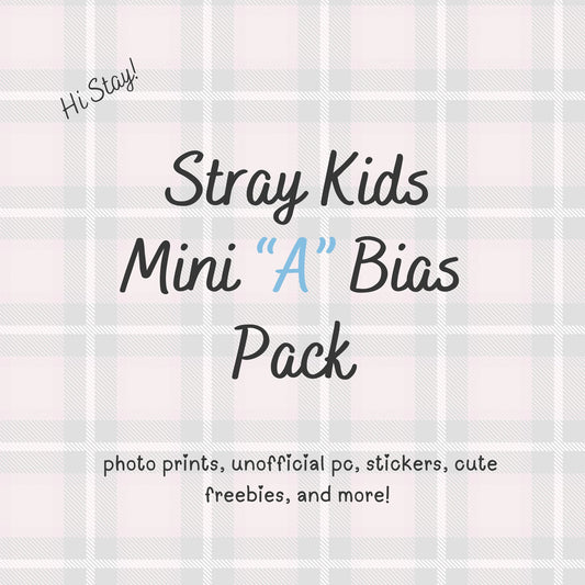 Stray Kids MINI “A" / Skz Bias Pack / Kpop Goodie Bag / Handmade by LoveStayTreasures